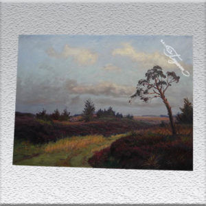 Fritz-Stark: in der Heide